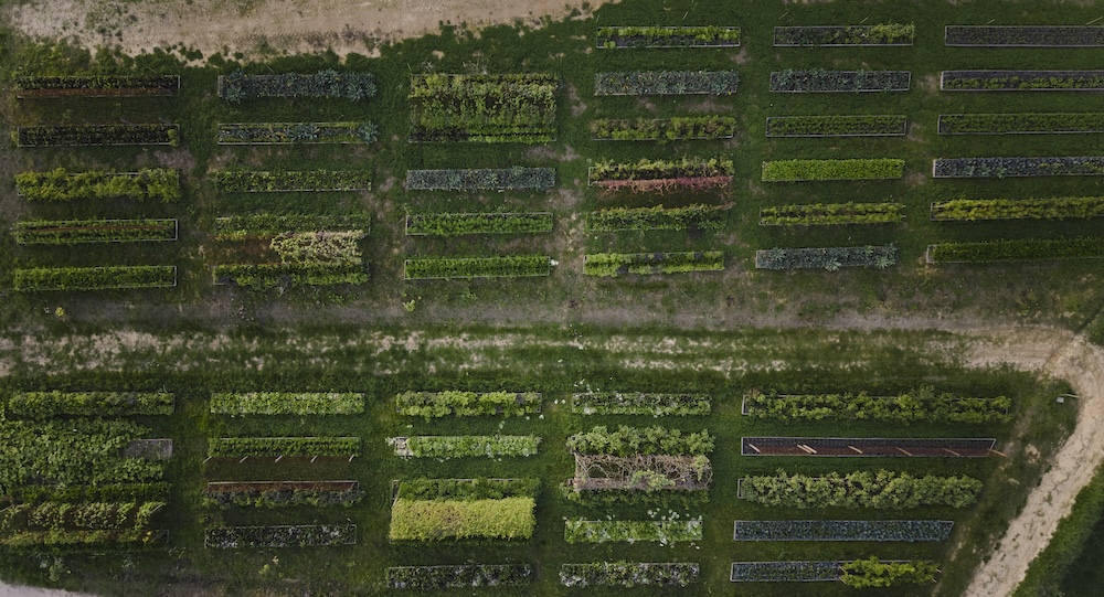 With over 1,000 different species under cultivation, it’s considered one of the most biodiverse farms in the world (photo by Marco Valmarana)